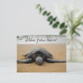 Aloha from Oahu! Postcard met Sea Turtle Briefkaart (Staand voorkant)