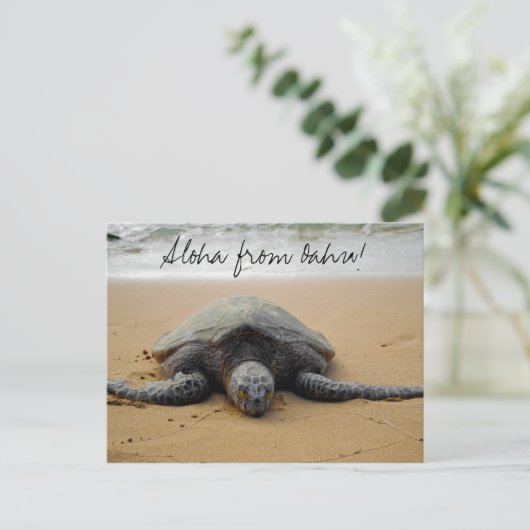 Aloha from Oahu! Postcard met Sea Turtle Briefkaart (Staand voorkant)