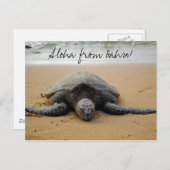 Aloha from Oahu! Postcard met Sea Turtle Briefkaart (Voorkant / Achterkant)