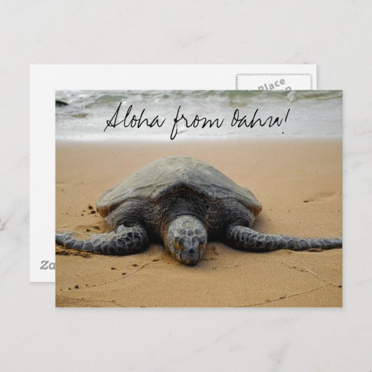 Aloha from Oahu! Postcard met Sea Turtle Briefkaart (Voorkant / Achterkant)