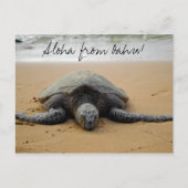 Aloha from Oahu! Postcard met Sea Turtle Briefkaart (Voorkant)