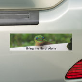 Aloha Gecko stickers (Op auto)