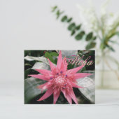 Aloha Greetings Tropical Bromeliad Briefkaart (Staand voorkant)