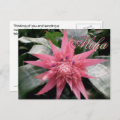 Aloha Greetings Tropical Bromeliad Briefkaart (Voorkant / Achterkant)