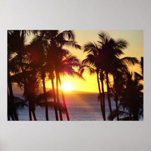 Aloha Hawaï Palmboom Tropen Zonsondergang Reizen Poster