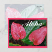 Aloha Hawaii Anthurium Briefkaart (Voorkant / Achterkant)
