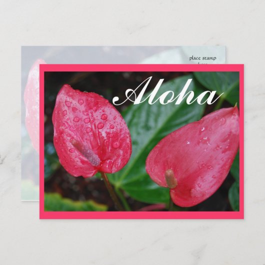 Aloha Hawaii Anthurium Briefkaart (Voorkant / Achterkant)