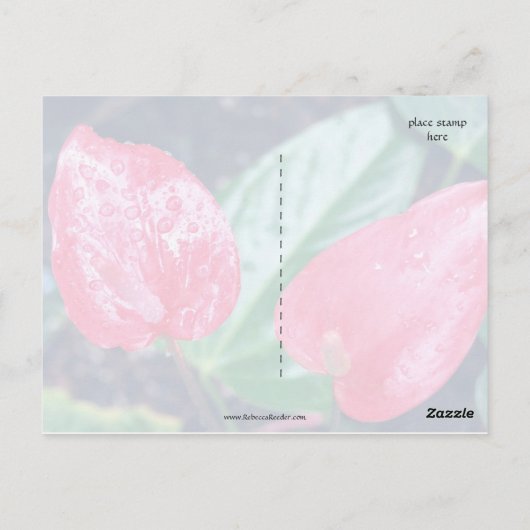Aloha Hawaii Anthurium Briefkaart (Achterkant)