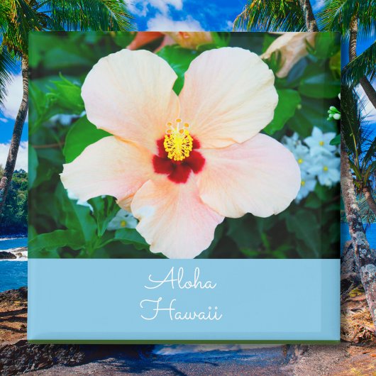 Aloha Hawaii Peach Color State Flower Hibiscus Magneet