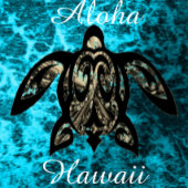 Aloha Hawaii Standaard Schort