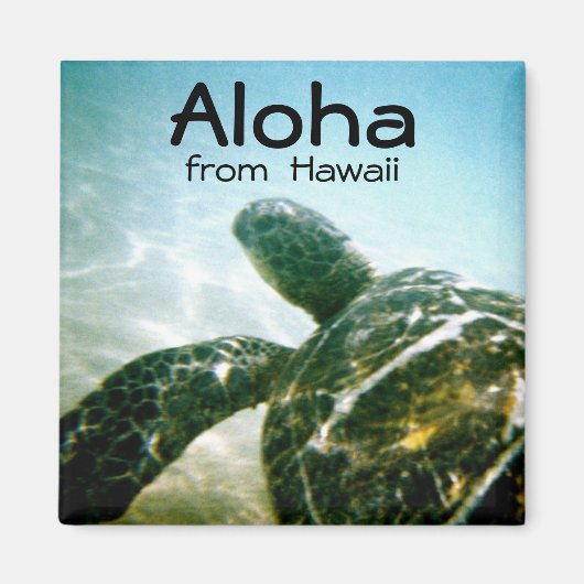 Aloha Hawaii Zee Schildpad Magneet (Voorkant)