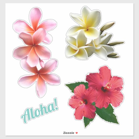 Aloha Hawaiian Flowers Plumeria Hibiscus Sticker (Vel)
