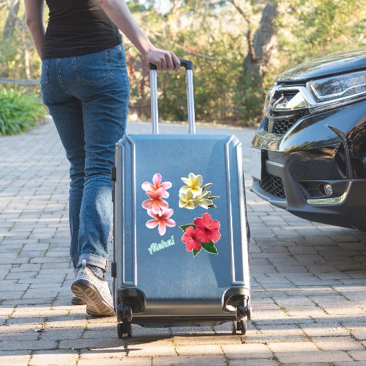 Aloha Hawaiian Flowers Plumeria Hibiscus  Sticker (Koffer Insitu)