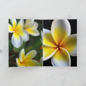 Aloha Hawaiian Frangipani Blossoms Vrijgezellenfee (Binnen)