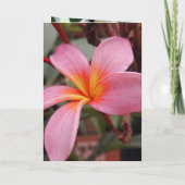 Aloha Hawaiian Frangipani Blossoms Vrijgezellenfee (Achterkant)