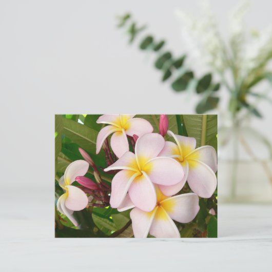 Aloha Hawaiian Frangipani Luau Bedankt Kaarten (Staand voorkant)