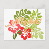 Aloha Hibiscus Briefkaart (Voorkant)