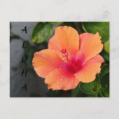 ALOHA Hibiscus Briefkaart (Voorkant)