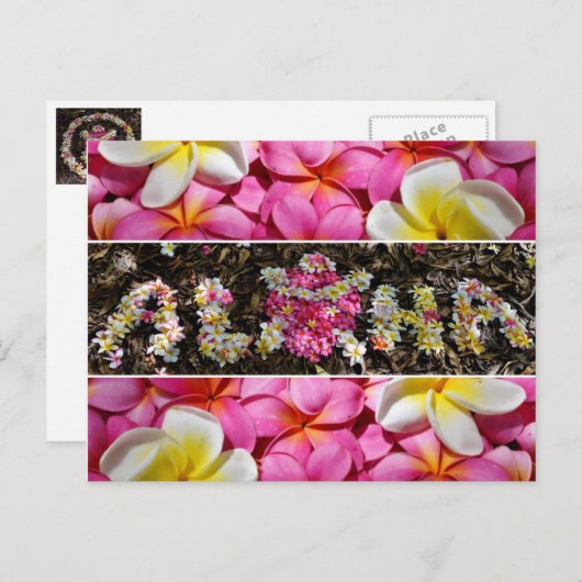 Aloha Honu Turtle Hawaii Plumeria Flower Paradise Briefkaart (Voorkant / Achterkant)