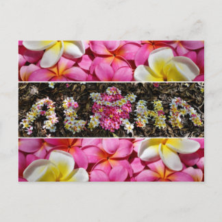 Aloha Honu Turtle Hawaii Plumeria Flower Paradise Briefkaart