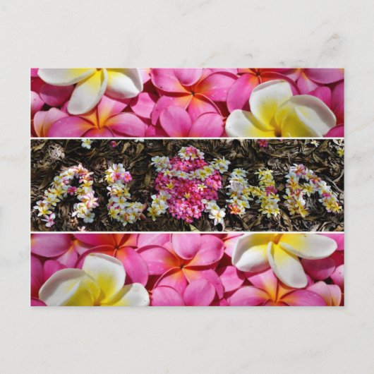 Aloha Honu Turtle Hawaii Plumeria Flower Paradise Briefkaart (Voorkant)