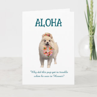 Aloha Joke Card with Pup Kaart