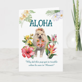 Aloha Joke Card with Pup Kaart