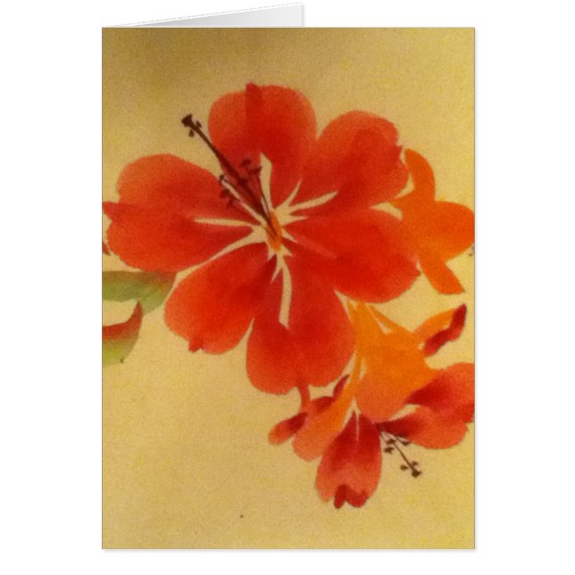 Aloha.jpg (Voorkant)