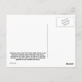 Aloha Kaanapali 21 Briefkaart (Achterkant)