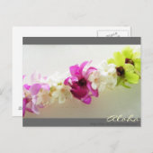 Aloha Lei Hawaii Briefkaart (Voorkant / Achterkant)