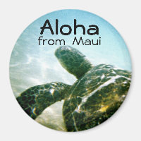 Aloha Maui Zee Schildpad