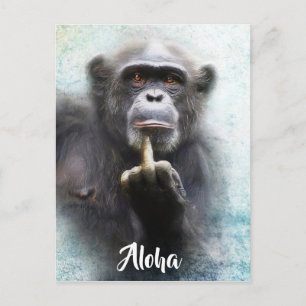Aloha Middenvinger Groet Grappige Aap Offensief Briefkaart