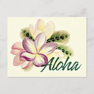 Aloha Plumeria Briefkaart
