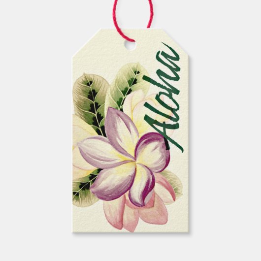 Aloha Plumeria Cadeaulabel (Voorkant)