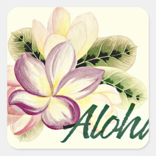 Aloha Plumeria Vierkante Sticker