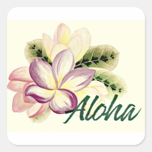 Aloha Plumeria Vierkante Sticker