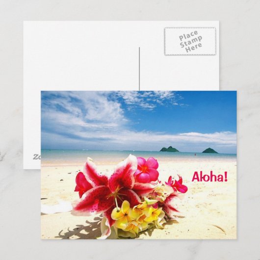 Aloha Post Card Briefkaart (Voorkant / Achterkant)
