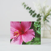 Aloha! Roze Hibiscus Briefkaart (Staand voorkant)