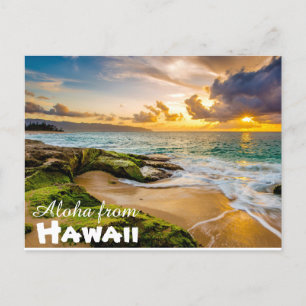 Aloha uit Hawaï Ansichtkaart Briefkaart