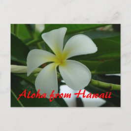Aloha uit Hawaii Briefkaart