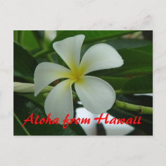 Aloha uit Hawaii Briefkaart
