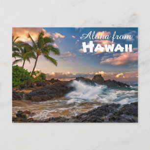 Aloha uit Hawaii Briefkaart