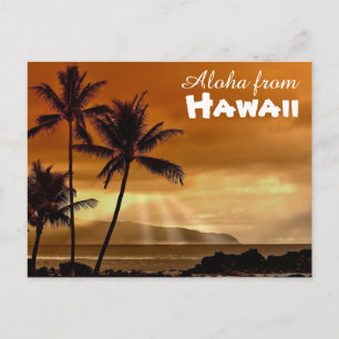 Aloha uit Hawaii Briefkaart