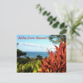 Aloha uit Hawaii Briefkaart (Staand voorkant)