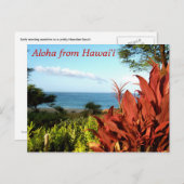 Aloha uit Hawaii Briefkaart (Voorkant / Achterkant)