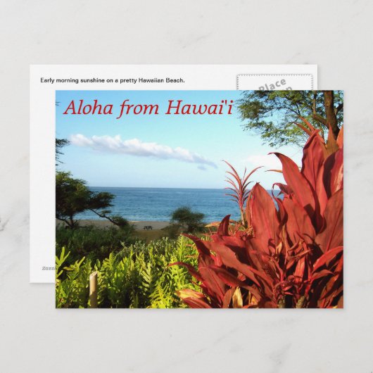 Aloha uit Hawaii Briefkaart (Voorkant / Achterkant)