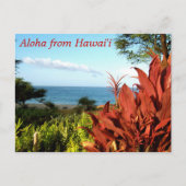 Aloha uit Hawaii Briefkaart (Voorkant)