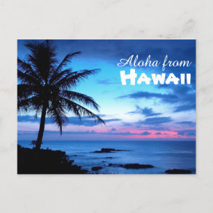 Aloha uit het Briefkaart Hawaï