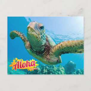 Aloha uit het Hawaii Honu Green Zee Turtle Briefka Briefkaart