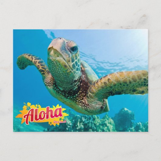 Aloha uit het Hawaii Honu Green Zee Turtle Briefka Briefkaart (Voorkant)